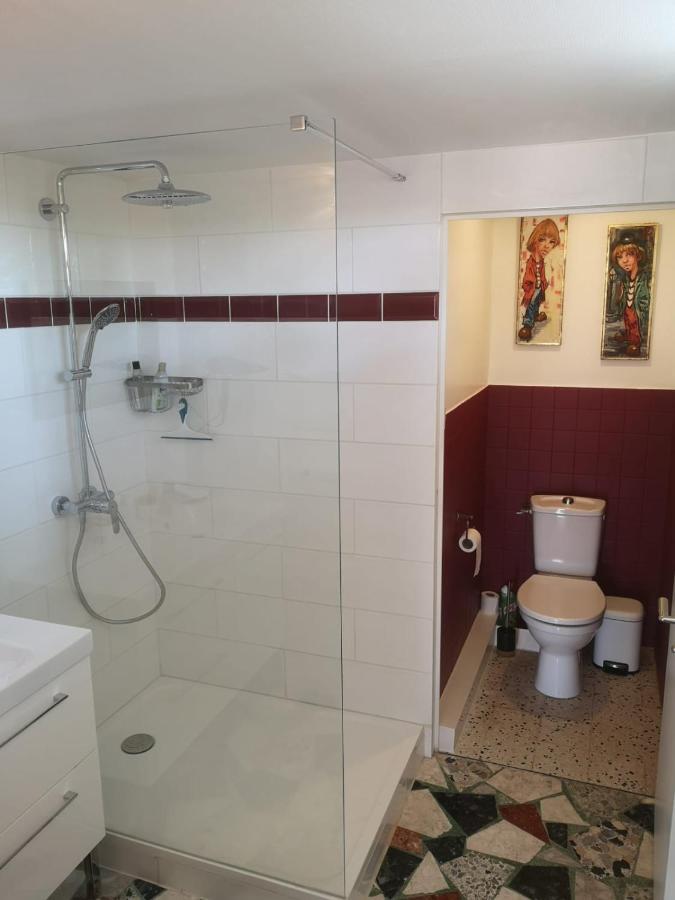 Bed and Breakfast Bellevue Chateauneuf-de-Galaure Екстер'єр фото