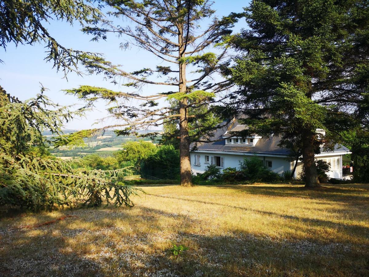 Bed and Breakfast Bellevue Chateauneuf-de-Galaure Екстер'єр фото